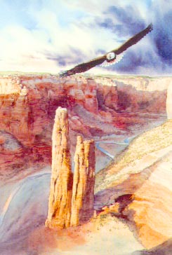[Mark Silversmith: Guardian of Spider Rock]