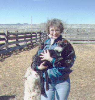 [Navajo Churro Sheep - Sheilah Smith]