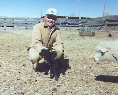 [Navajo Churro Sheep - Harley Hatch]